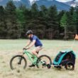 Right Bicycle Dog Trailer