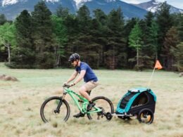 Right Bicycle Dog Trailer