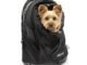 Best Dog Backpacks For Hiking And Camping