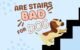 Are Stairs Bad for Dogs? 5 Are Stairs Bad for Dogs