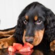 Can Dogs Eat Strawberries