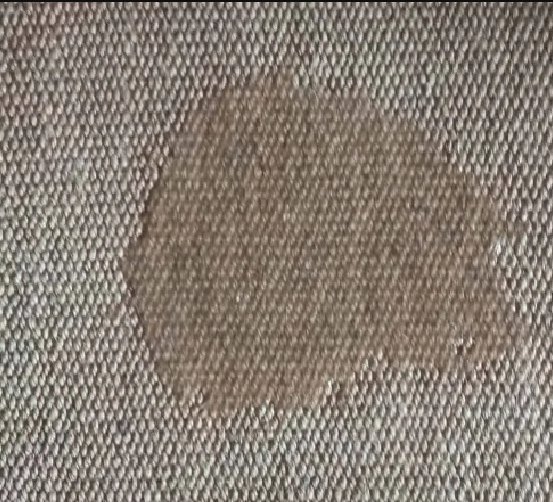 How to Clean Dog Smegma Off Furniture