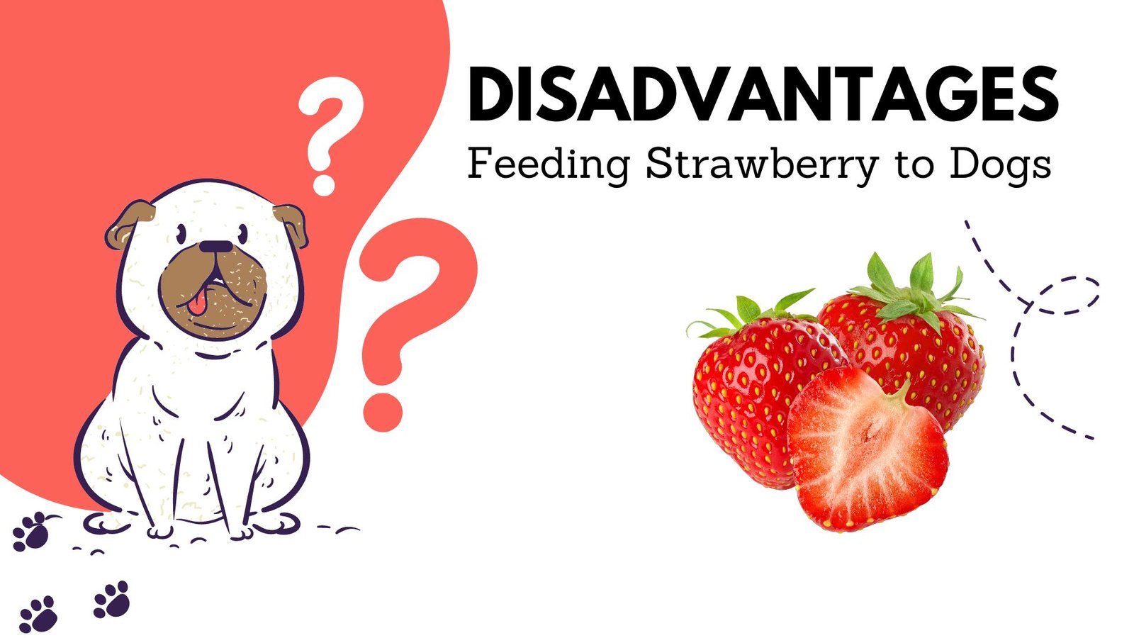 Disadvantages of feeding strawberries to dogs