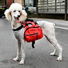 Standard Dog Backpacks