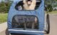 The Best Dog Bike Trailer For Large Dogs 5 The Best Dog Bike Trailer For Large Dogs