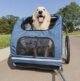 The Best Dog Bike Trailer For Large Dogs
