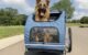 The Petsafe Happy Ride Aluminum Dog Bike Trailer 5 The Petsafe Happy Ride Aluminum Dog Bike Trailer
