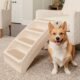 How to Choose the Best Folding Dog Stairs for Your Home