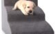 The Best Dog Stairs And Ramps 5 The Best Dog Stairs And Ramps