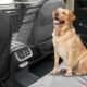 How to Install Dog Barrier in Car 26 How to Install Dog Barrier in Car