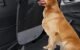 The Best Backseat Divider For Dogs 5 The Best Backseat Divider For Dogs
