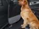 The Best Backseat Divider For Dogs