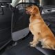 The Best Backseat Divider For Dogs 27 The Best Backseat Divider For Dogs