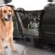 The Best Backseat Divider For Two Dogs