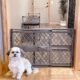 The Best Dog Gate For Stairs 27 The Best Dog Gate For Stairs