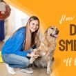 How to Clean Dog Smegma Off Furniture
