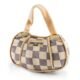 The Louis Vuitton Dog Purse 92 The Louis Vuitton Dog Purse