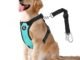 The Best In Car Harness For Dogs