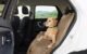 The Orvis Dog Seat Cover 5 The Orvis Dog Seat Cover