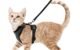 The Best Cat Harness Vest 5 The Best Cat Harness Vest
