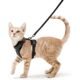 The Best Cat Harness Vest 27 The Best Cat Harness Vest
