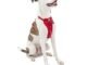 The Best Kurgo Dog Car Harness 28 The Best Kurgo Dog Car Harness
