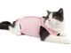 The Best Recovery Suit For Cats