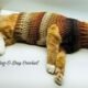How to Crochet a Cat Sweater 8 How to Crochet a Cat Sweater