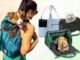 10 Ways to Use a Dog Purse Beyond Just Carrying Your Dog