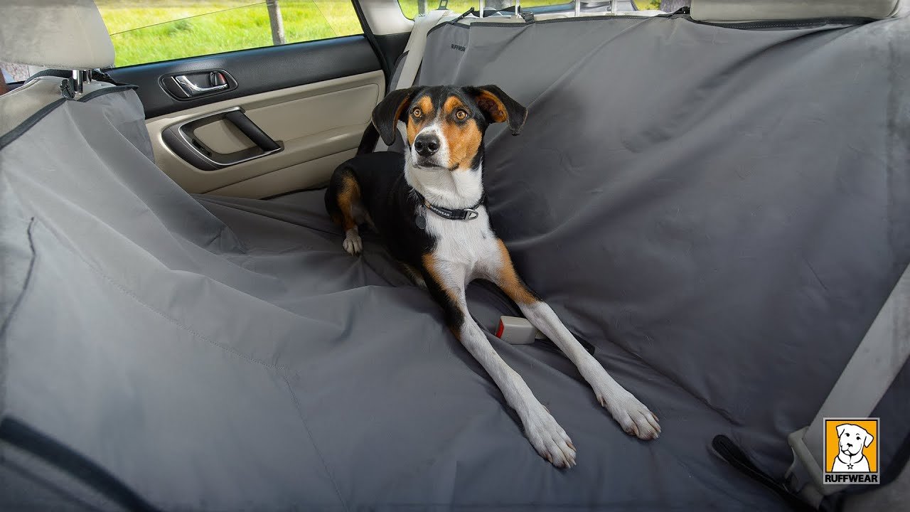 How to Install Dog Car Seat Cover
