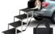 The Best Foldable Dog Car Ramp 5 The Best Foldable Dog Car Ramp