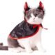 The Best Cat Devil Costume 27 The Best Cat Devil Costume