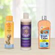 Best Flea Shampoo For Dogs