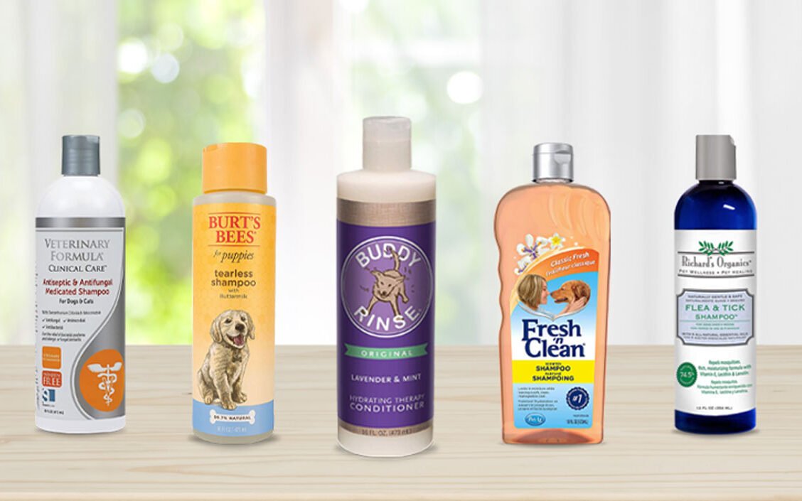 Whats The Best Flea Shampoo For Dogs