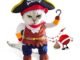 The Best Cat Pirate Costume 32 The Best Cat Pirate Costume