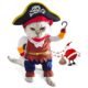 The Best Cat Pirate Costume 153 The Best Cat Pirate Costume