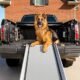 The Petsafe Happy Ride Telescoping Dog Car Ramp 27 The Petsafe Happy Ride Telescoping Dog Car Ramp