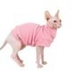 The Best Sphynx Cat Sweater 27 Best Sphynx Cat Sweater
