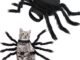 The Best Cat Spider Costume