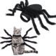 The Best Cat Spider Costume 90 The Best Cat Spider Costume