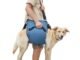 The Best Dog Sling For Large Dogs 39 The Best Dog Sling For Large Dogs