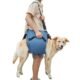 The Best Dog Sling For Large Dogs 7 The Best Dog Sling For Large Dogs