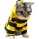 The Best Cat Bee Costume 26 The Best Cat Bee Costume