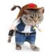 The Best Cat Cowboy Costume 6 The Best Cat Cowboy Costume