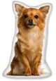 The Best Customized Dog Pillows 257 The Best Customized Dog Pillows