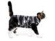 The Suitical Recovery Suit For Cats