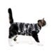The Suitical Recovery Suit For Cats 26 The Suitical Recovery Suit For Cats