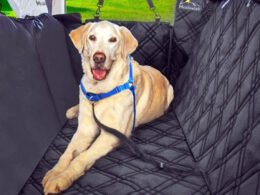 dog seat cover