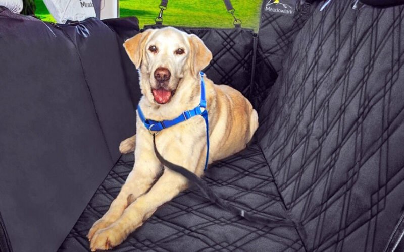 dog seat cover