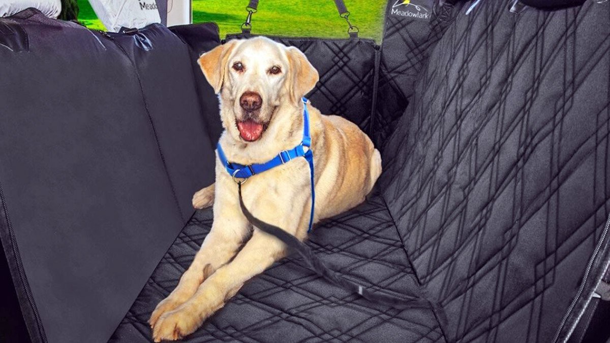 dog seat cover